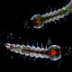 Image for article titled This Is Why Glowing Jellyfish Proteins Have Revolutionized Medicine